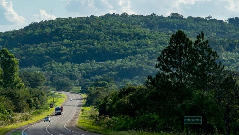 Yerbateras en Misiones